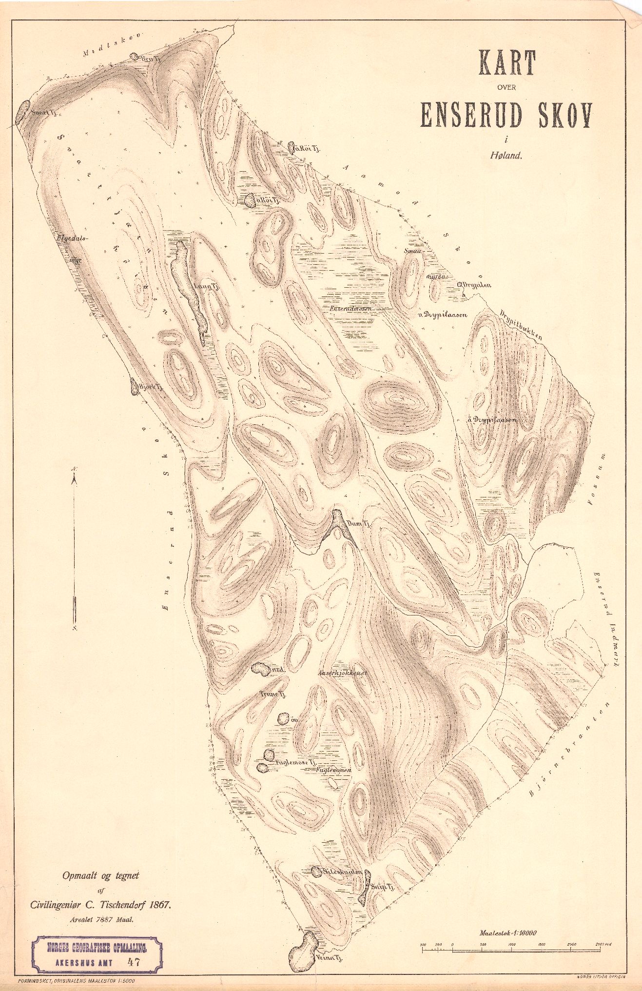 Akershus amt nr 47: Kart over Enserud Skov i Høland: Akershus