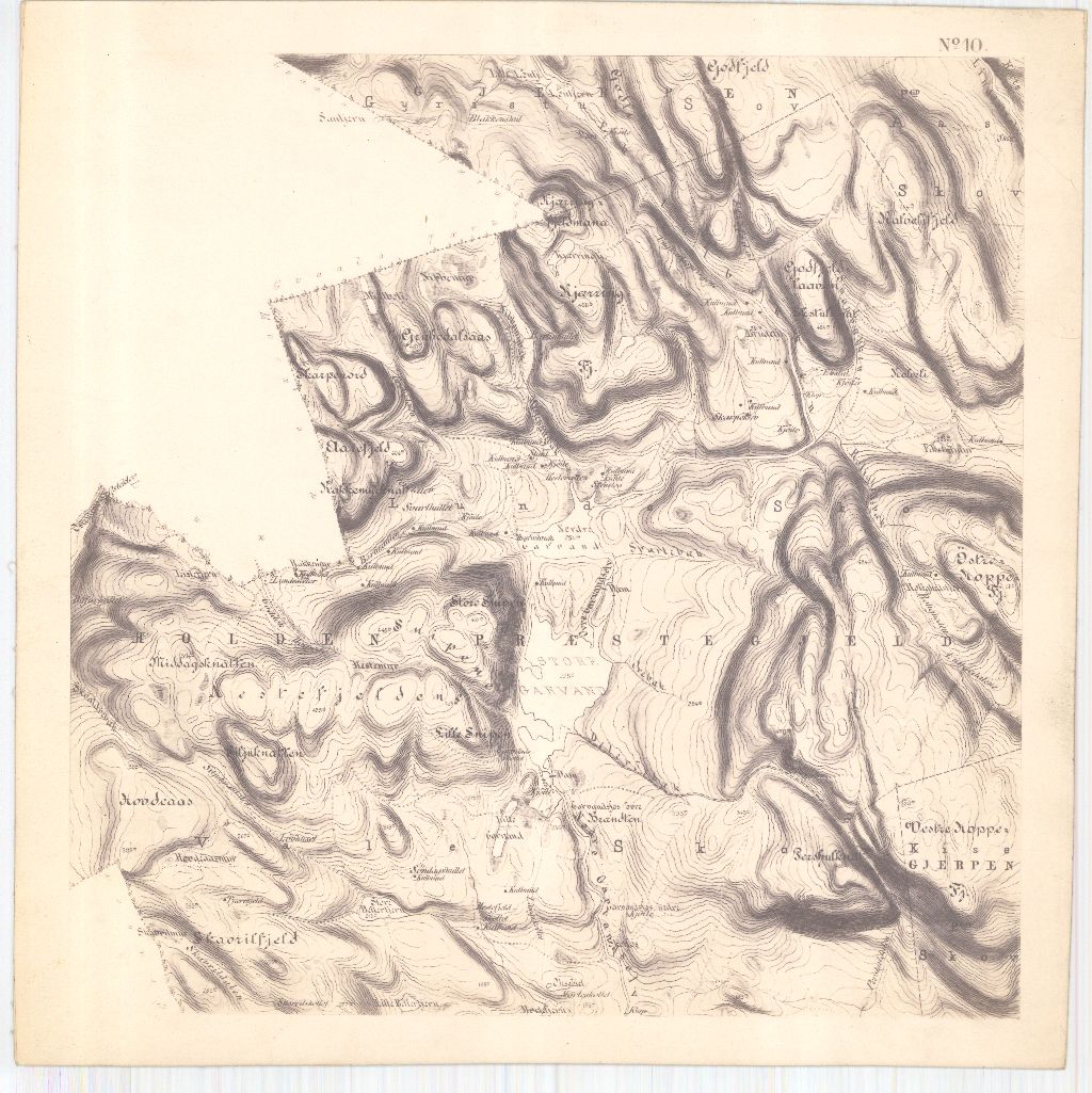 Bratsberg-amt nr 20-10: Kart over Fossum Værks Skove: Telemark
