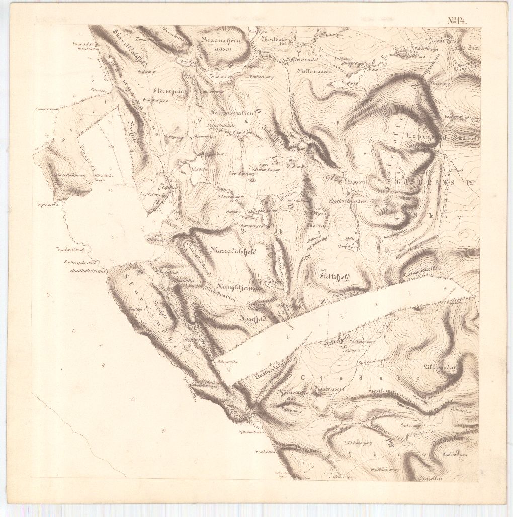 Bratsberg-amt nr 20-14: Kart over Fossum Værks Skove: Telemark