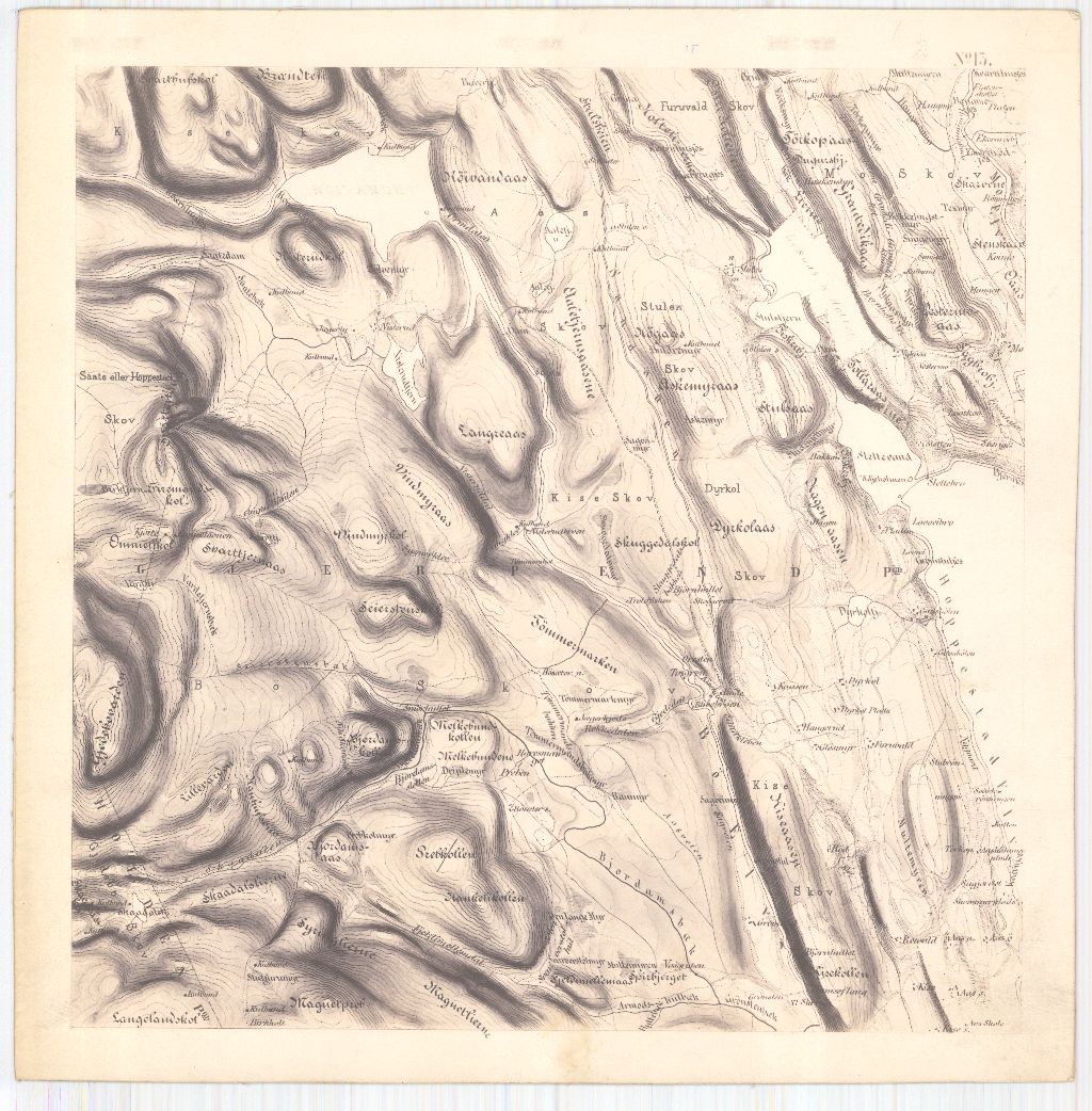 Bratsberg-amt nr 20-15: Kart over Fossum Værks Skove: Telemark