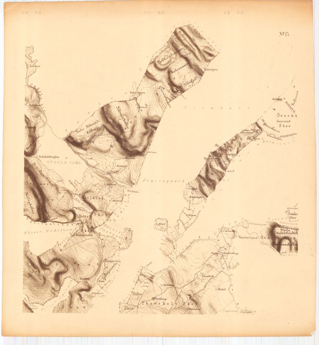 Bratsberg-amt nr 20-17: Kart over Fossum Værks Skove: Telemark