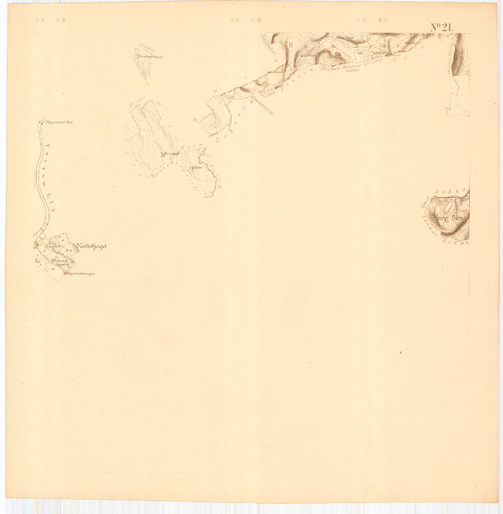 Bratsberg-amt nr 20-21: Kart over Fossum Værks Skove: Telemark