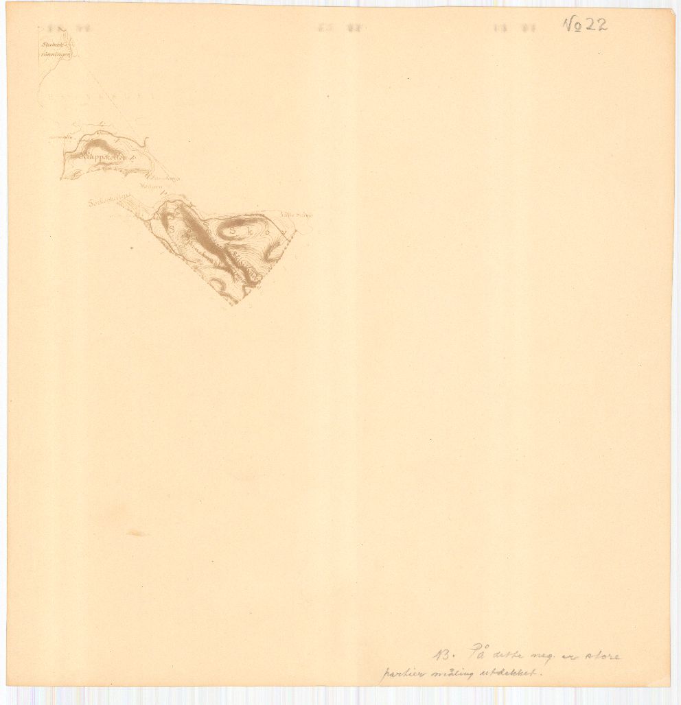 Bratsberg-amt nr 20-22: Kart over Fossum Værks Skove: Telemark