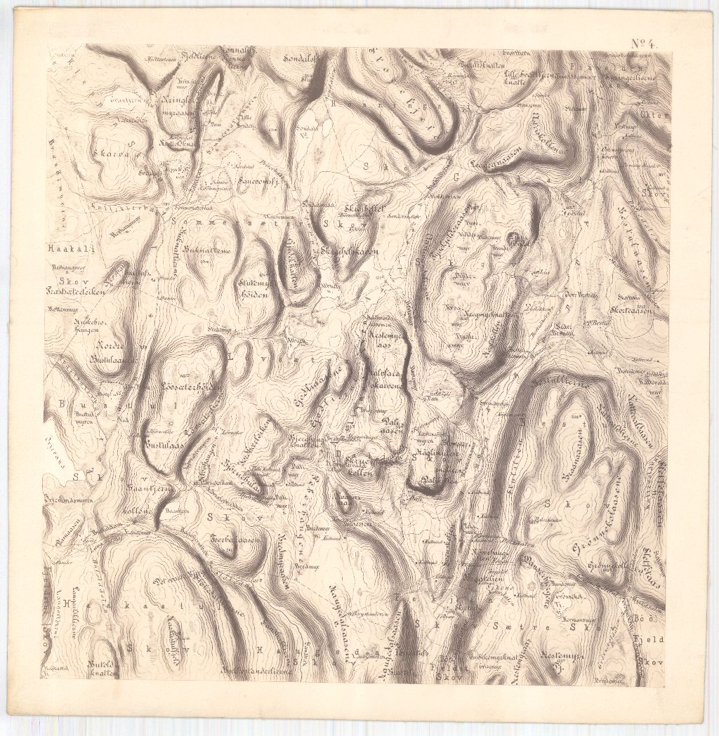 Bratsberg-amt nr 20-4: Kart over Fossum Værks Skove: Telemark