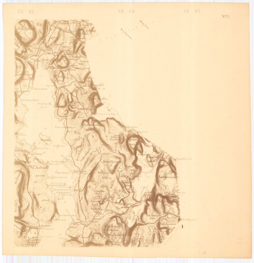 Bratsberg-amt nr 20-5: Kart over Fossum Værks Skove: Telemark