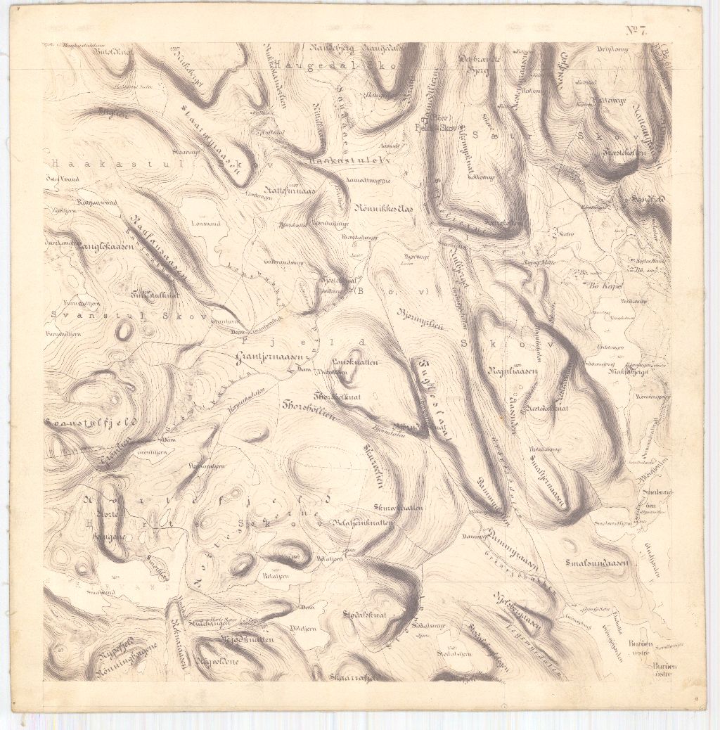 Bratsberg-amt nr 20-7: Kart over Fossum Værks Skove: Telemark