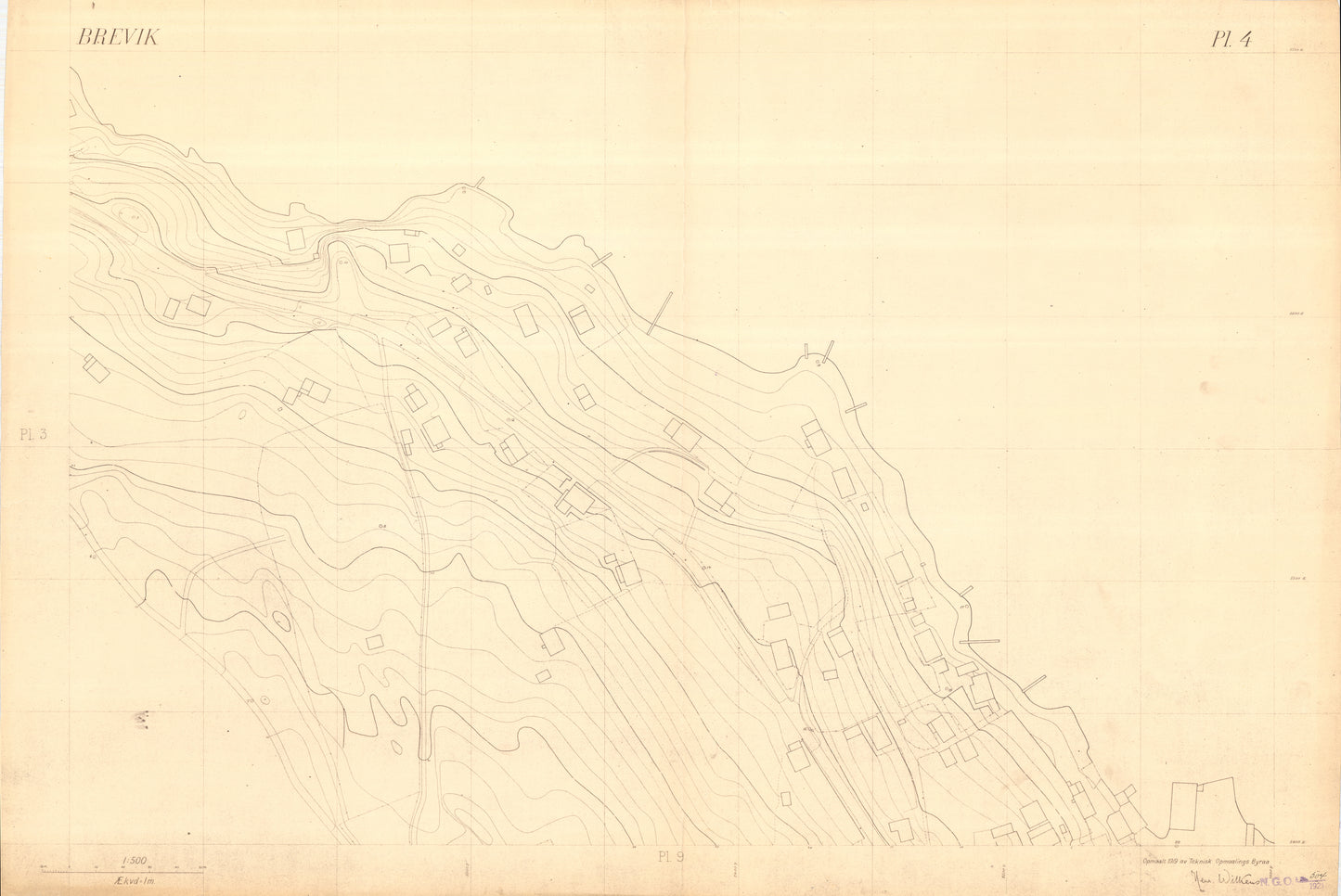 Bratsberg amt nr 49-4: Kart over Brevik: Telemark
