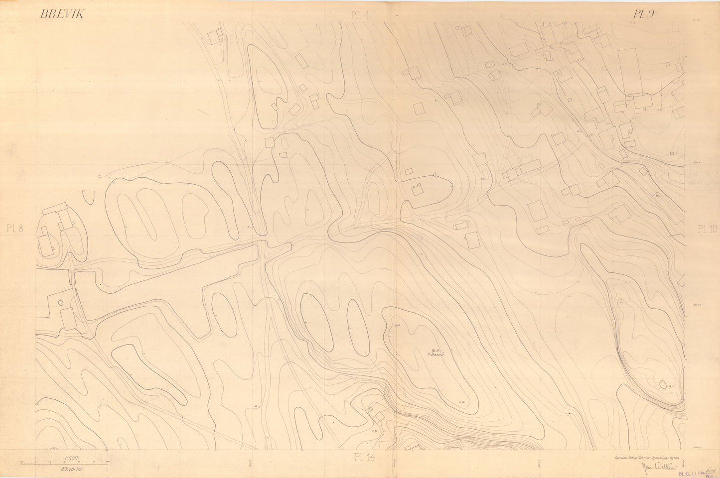 Bratsberg amt nr 49-9: Kart over Brevik: Telemark