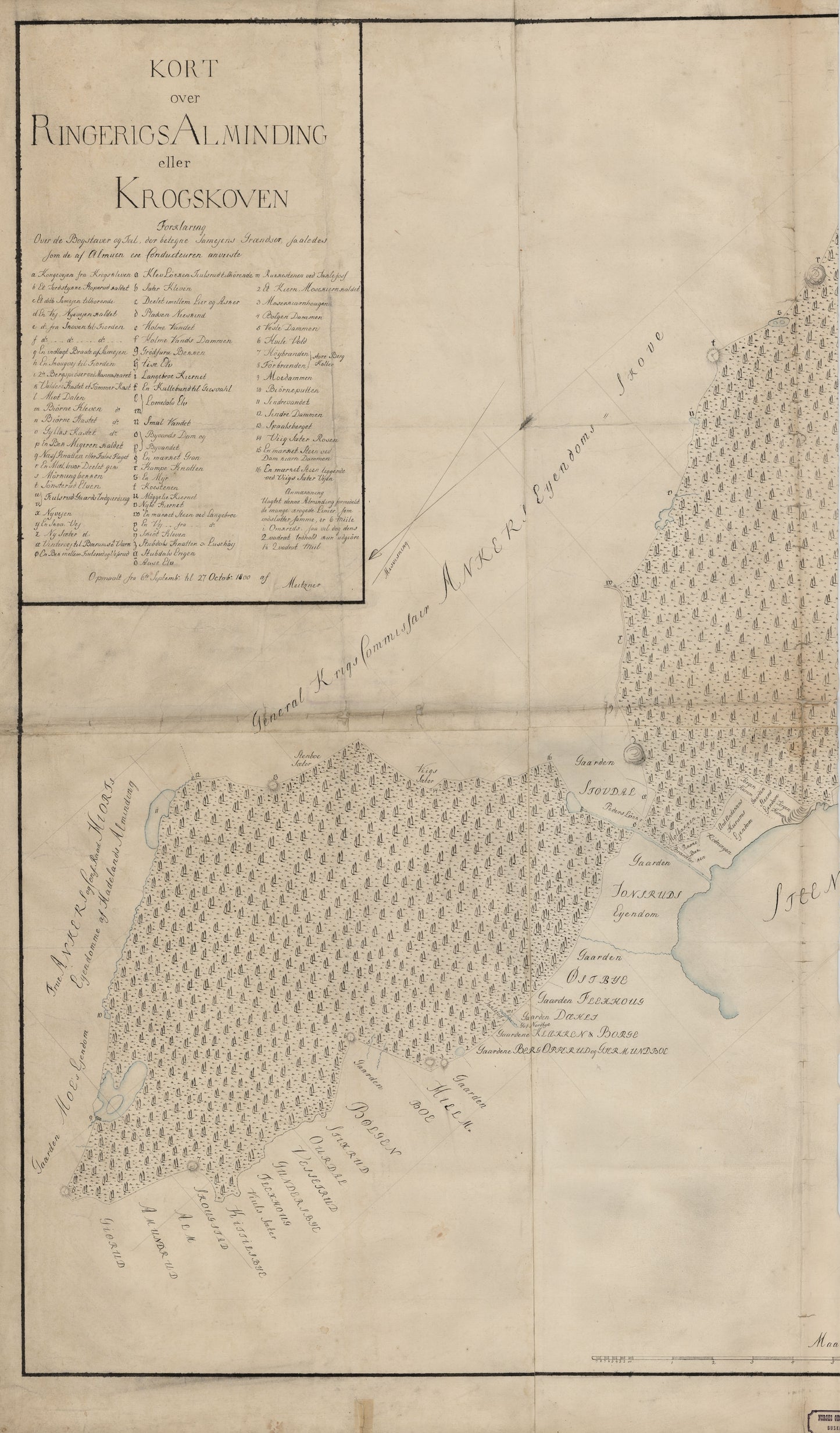 Buskerud amt nr 13 vest: Kaart over Ringerigs Alminding eller Krogskoven (vest): Buskerud
