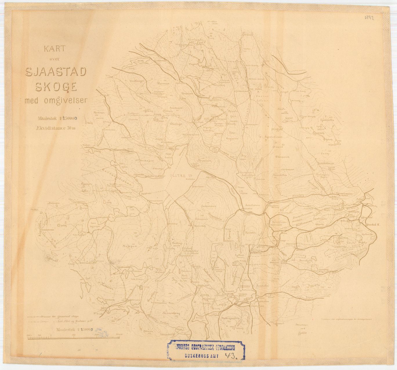 Buskerud amt nr 43: Sjaastad skoge: Buskerud