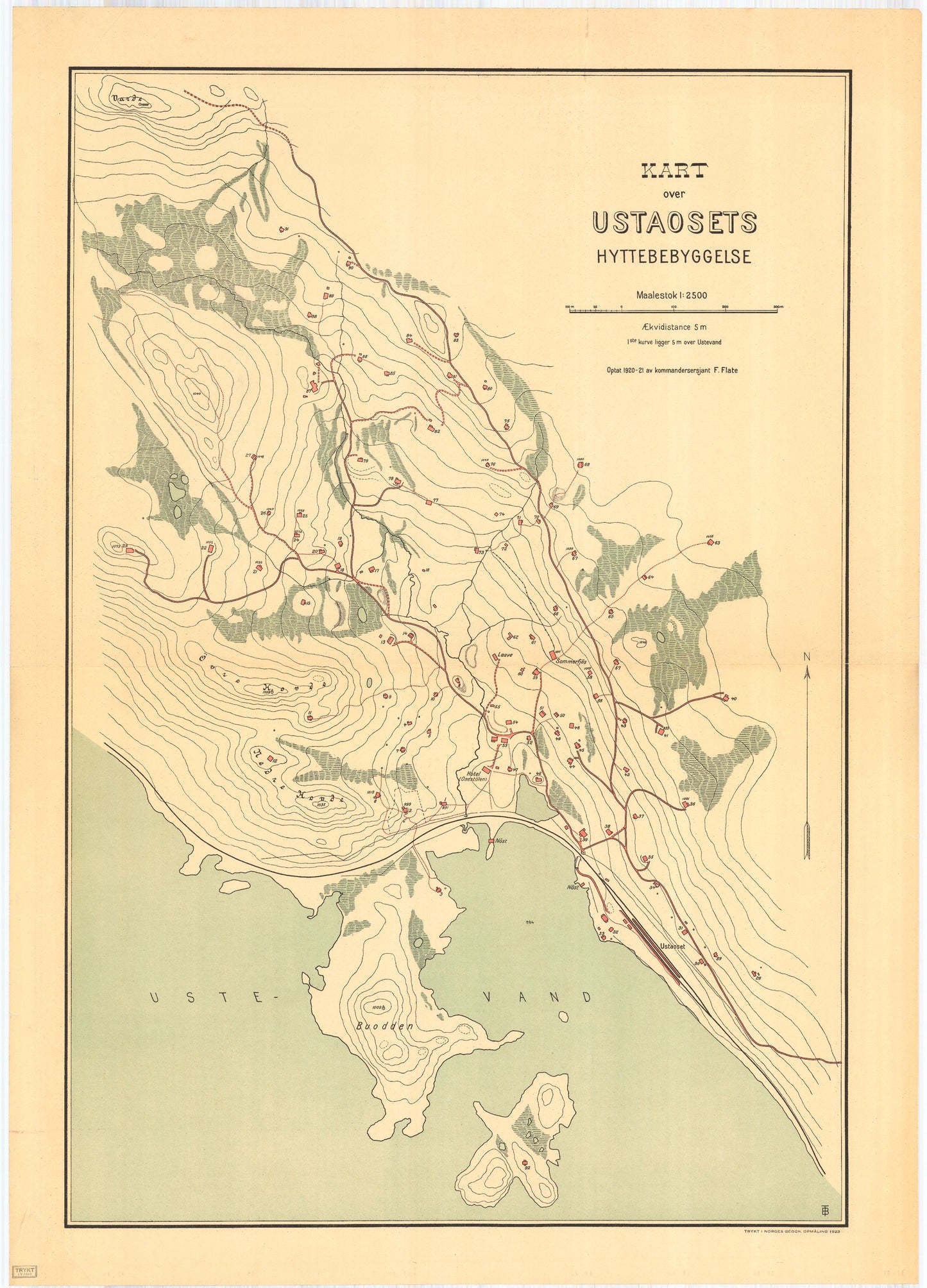 Buskerud amt nr 52: Ustadosets hyttebyggelse: Buskerud