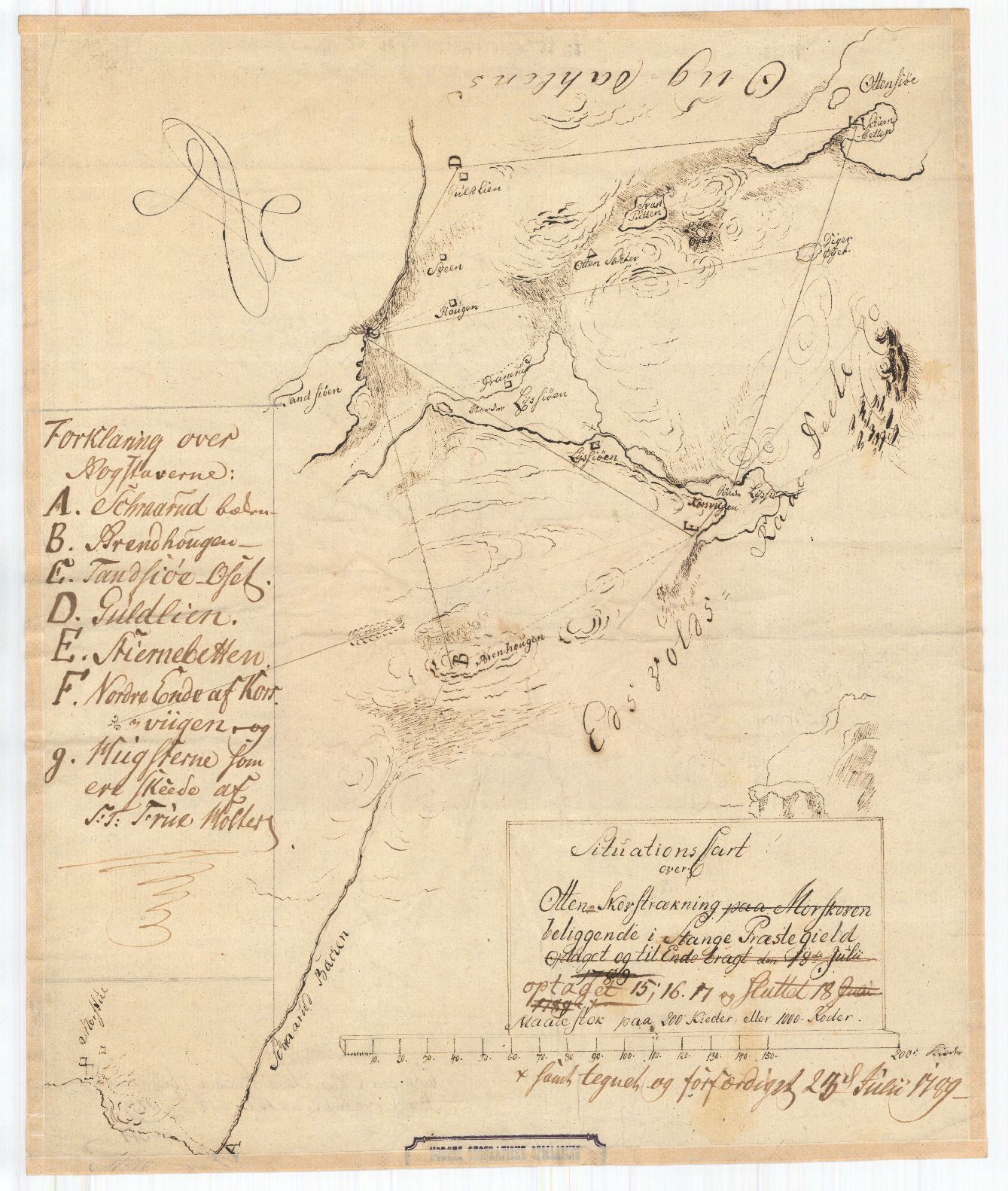 Hedemarkens amt nr 21: Situations Carte over Otten Skovstrækning: Hedmark