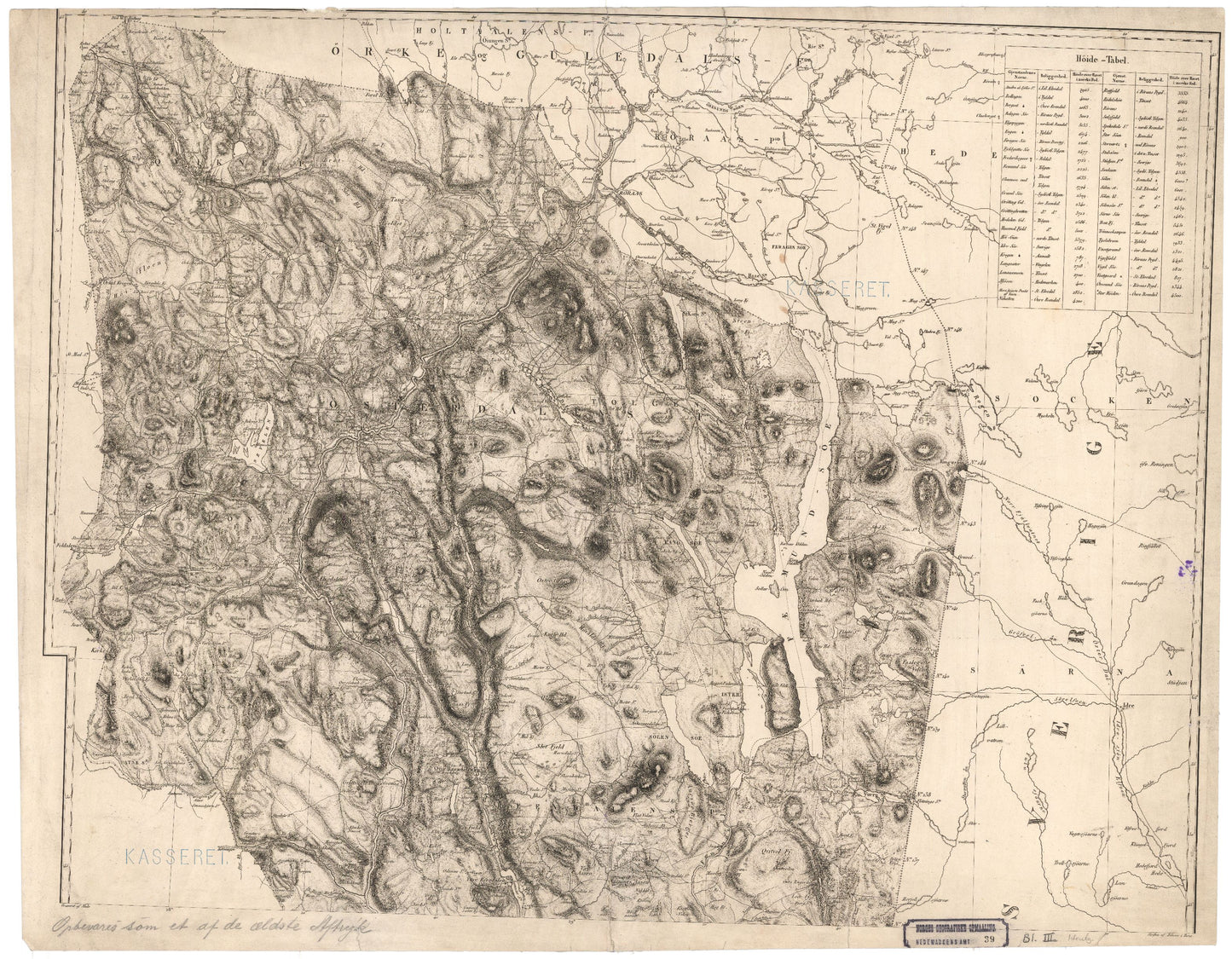 Hedemarkens amt nr 39-nordlige: Kart over Hedemarkens Amt: Hedmark