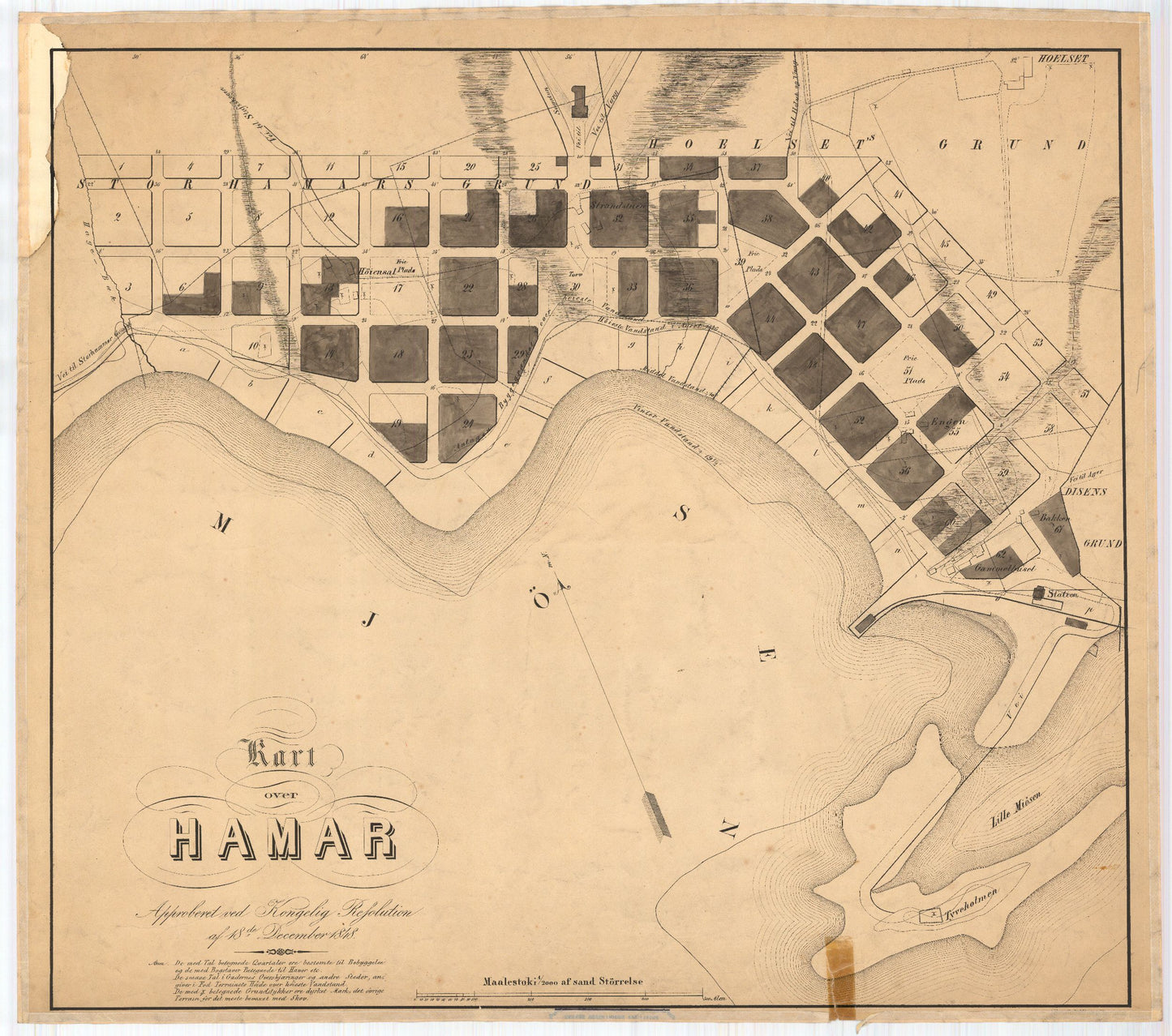 Hedemarkens amt nr 43: Kart over Hamar: Hedmark