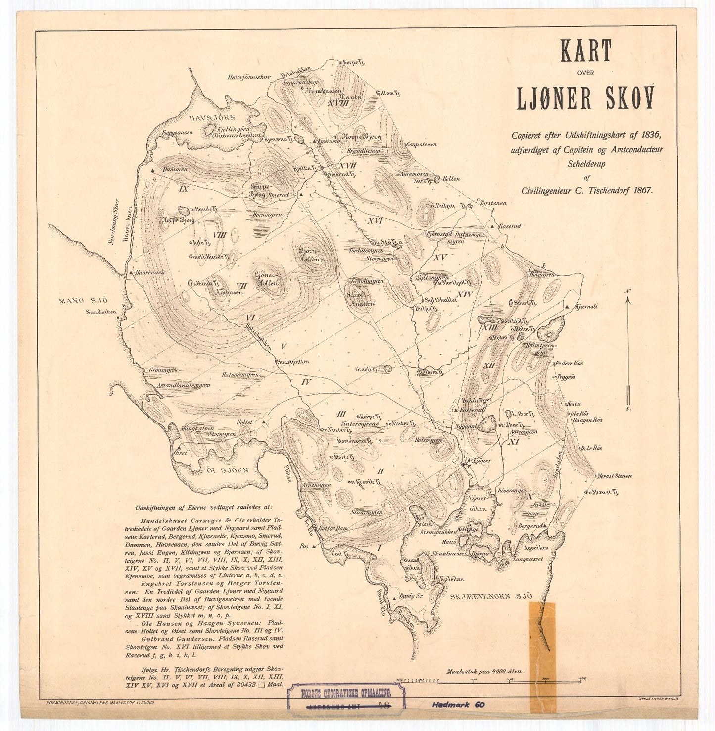 Hedemarkens amt nr 60: Kart over Ljøner skov: Hedmark