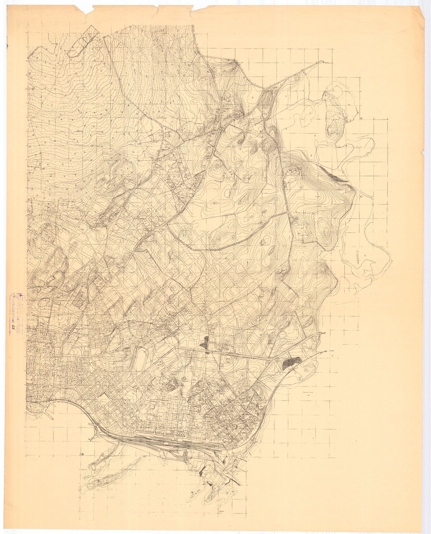 Hedemarkens amt nr 66: Hamar by: Hedmark