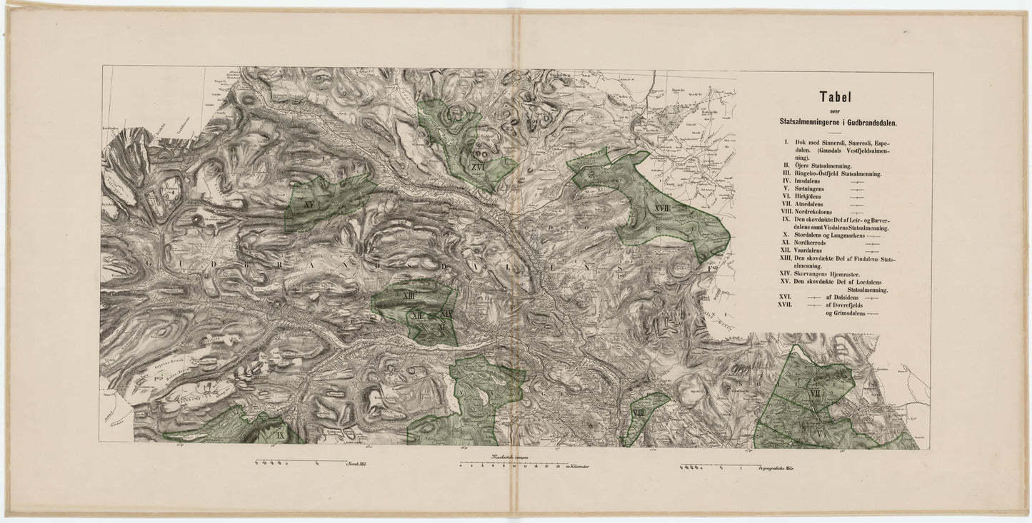 Kristians amt nr 20 tabell nord: Tabel over Statsalmenningerne i Gudbrandsdalen, nordre del: Oppland