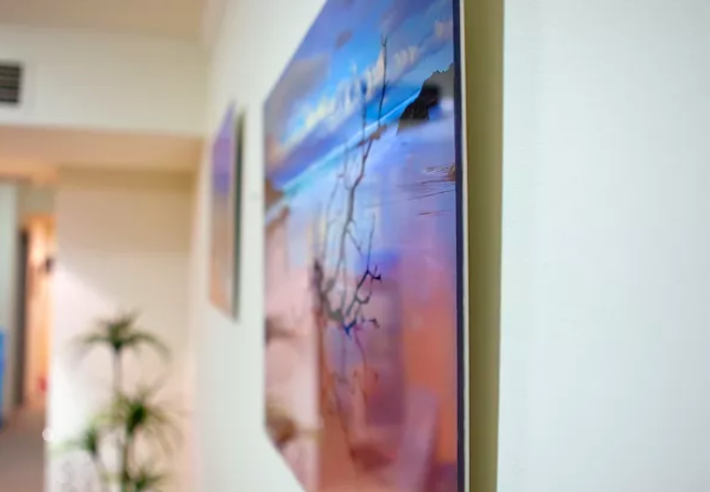 facemount plexiglass