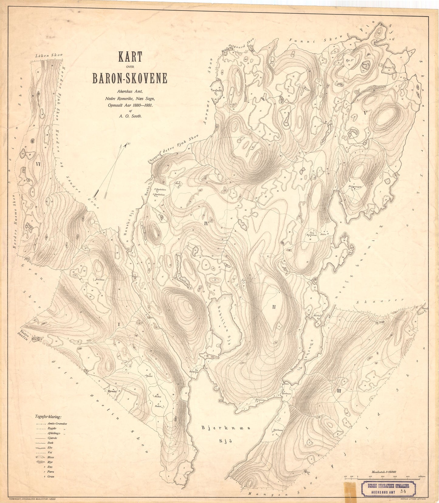 Akershus amt nr 54: Kart over Baron Skovene; Nedre Romerike; Næs Sogn: Akershus