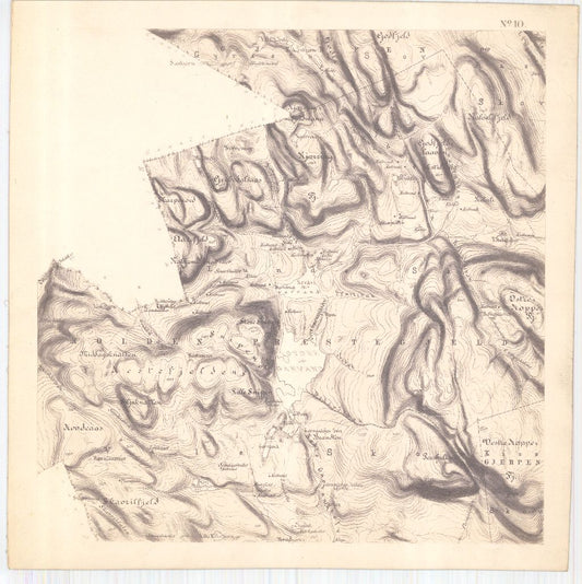 Bratsberg-amt nr 20-10: Kart over Fossum Værks Skove: Telemark