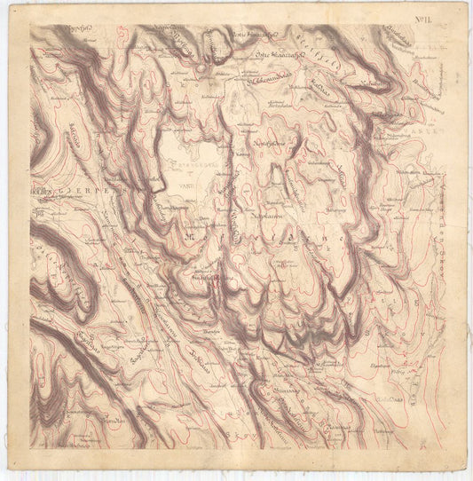 Bratsberg-amt nr 20-11: Kart over Fossum Værks Skove: Telemark