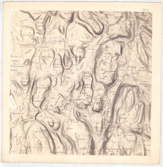 Bratsberg-amt nr 20-4: Kart over Fossum Værks Skove: Telemark