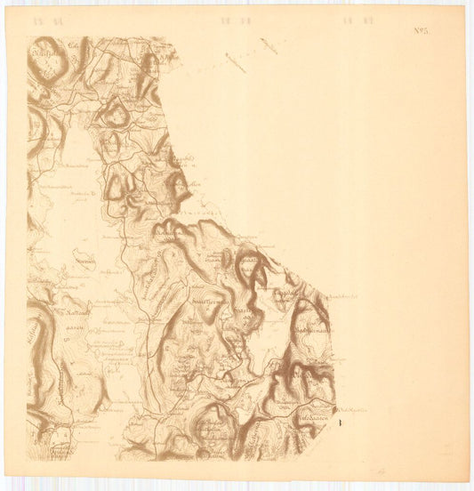Bratsberg-amt nr 20-5: Kart over Fossum Værks Skove: Telemark