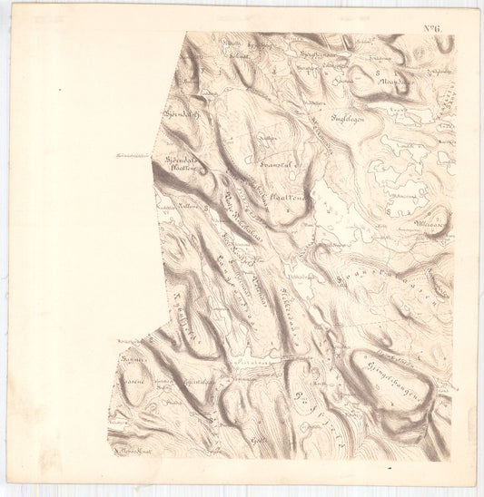 Bratsberg-amt nr 20-6: Kart over Fossum Værks Skove: Telemark