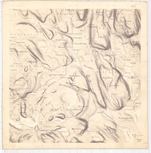 Bratsberg-amt nr 20-7: Kart over Fossum Værks Skove: Telemark