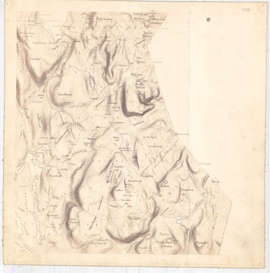 Bratsberg-amt nr 20-8: Kart over Fossum Værks Skove: Telemark