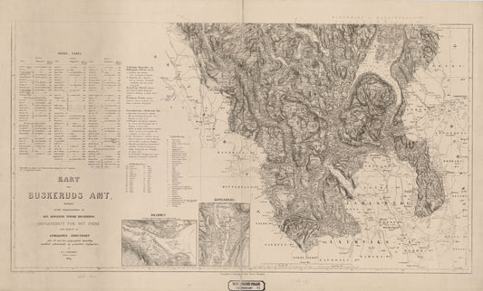 Buskerud amt nr 21 sør: Kart over Buskerud Amt (sør): Buskerud