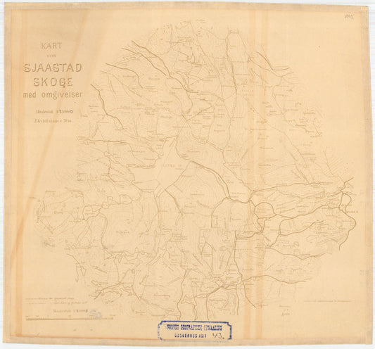 Buskerud amt nr 43: Sjaastad skoge: Buskerud