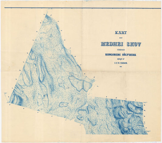 Buskerud amt nr 63-2-1: Kart over Kongsberg Sølvværks skove: Buskerud