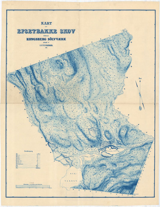 Buskerud amt nr 63-3: Kart over Kongsberg Sølvværks skove: Buskerud