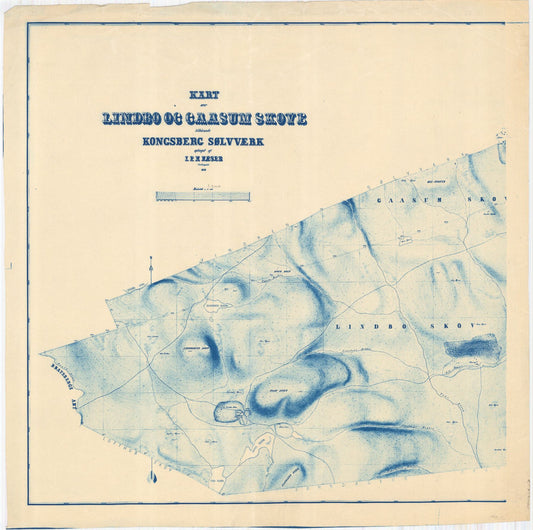Buskerud amt nr 63-4-1: Kart over Kongsberg Sølvværks skove: Buskerud