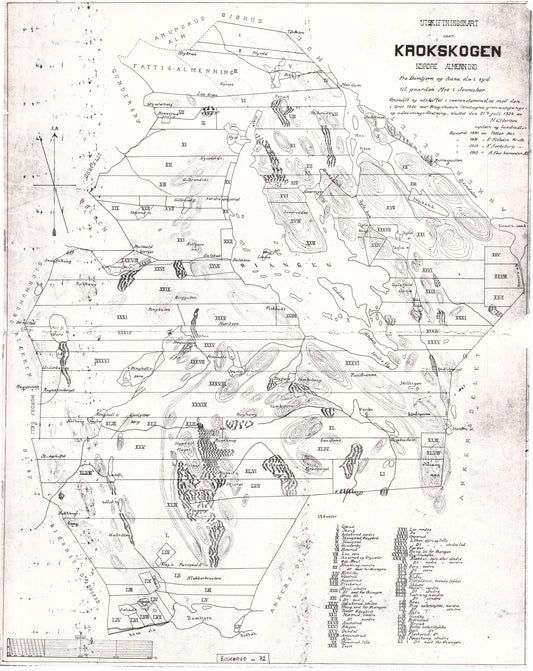 Buskerud amt nr 72: Kopi av utskiftningskart over Krokskogens almenning.: Buskerud