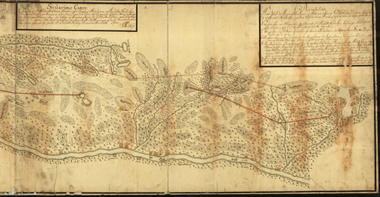 Hedemarkens amt nr 3 øst: Situations Carte; Aamodt; Store Elvealen; Løiten; Vang Ringsager; vest og øst: Hedmark