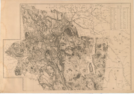 Hedemarkens amt nr 39: Kart over Hedemarkens Amt; blad 3: Hedmark