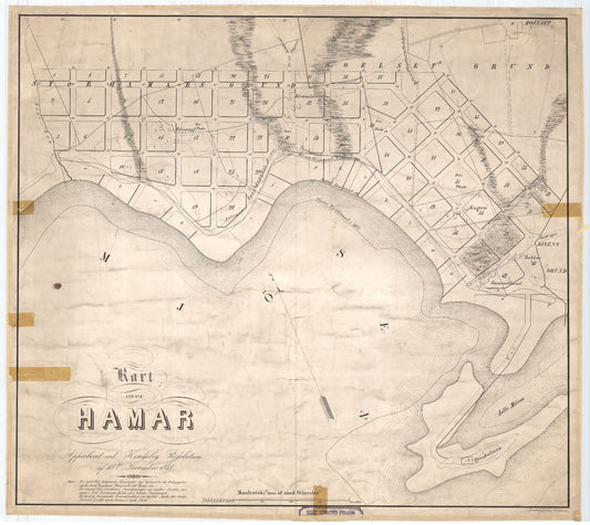 Hedemarkens amt nr 43: Kart over Hamar: Hedmark