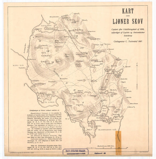 Hedemarkens amt nr 60: Kart over Ljøner skov: Hedmark