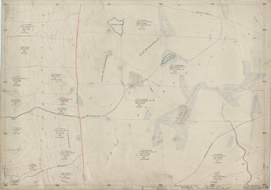 Hedemarkens amt nr 61-38: Skogkart Ytre Rendalen; Hedemarkens Amt: Hedmark