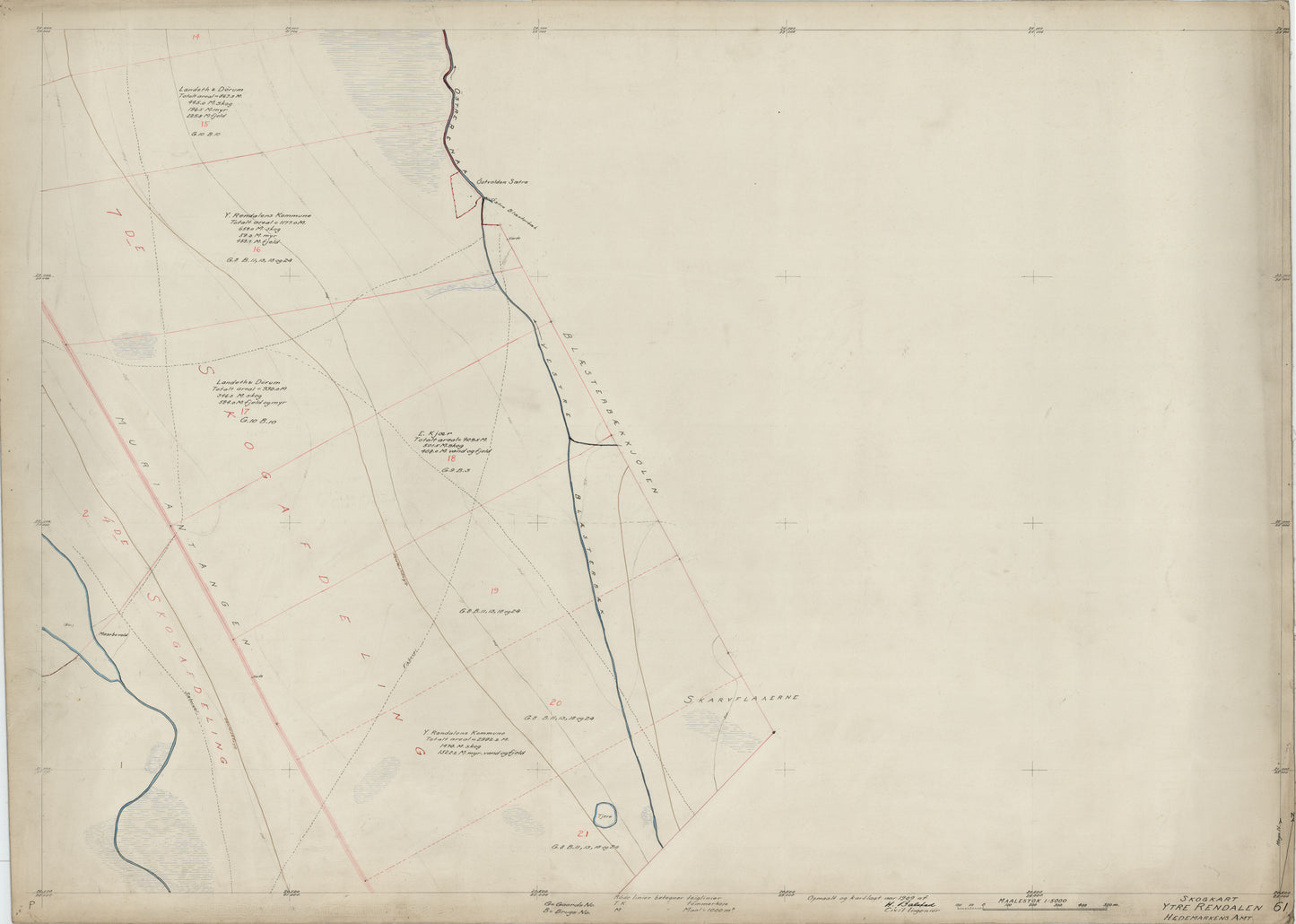 Hedemarkens amt nr 61-61: Skogkart Ytre Rendalen; Hedemarkens Amt: Hedmark