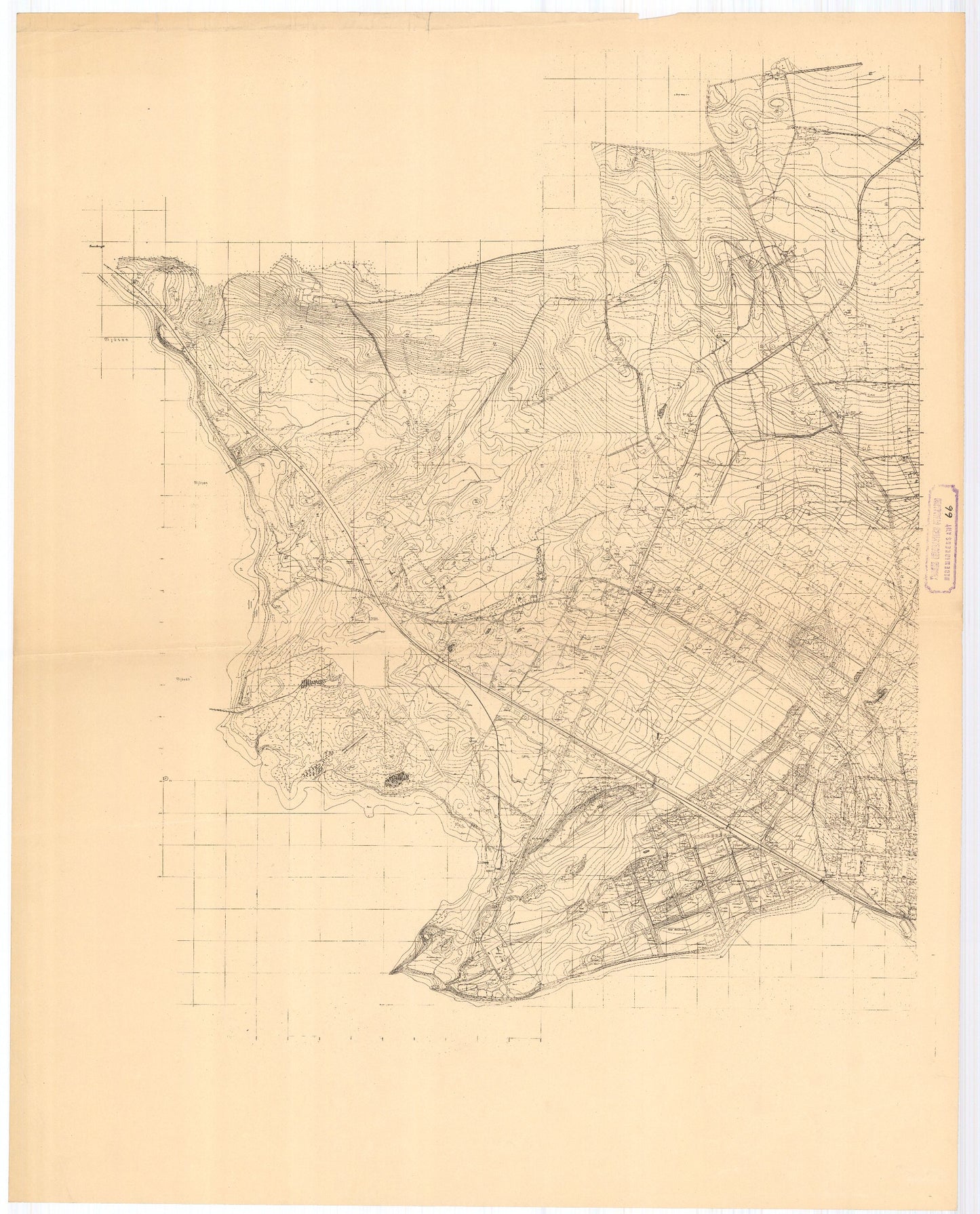 Hedemarkens amt nr 66: Hamar by: Hedmark