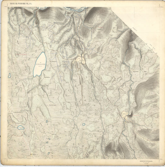 Hedemarkens amt nr 68: Kart over Vang og Furnes almenning: Hedmark