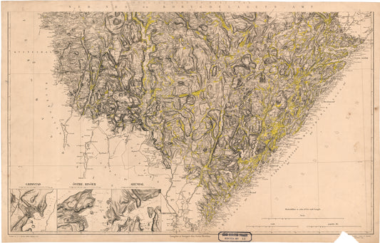 Nedenes amt nr 13 sør: Amtskart med påtegnet dyrket mark: Aust-Agder