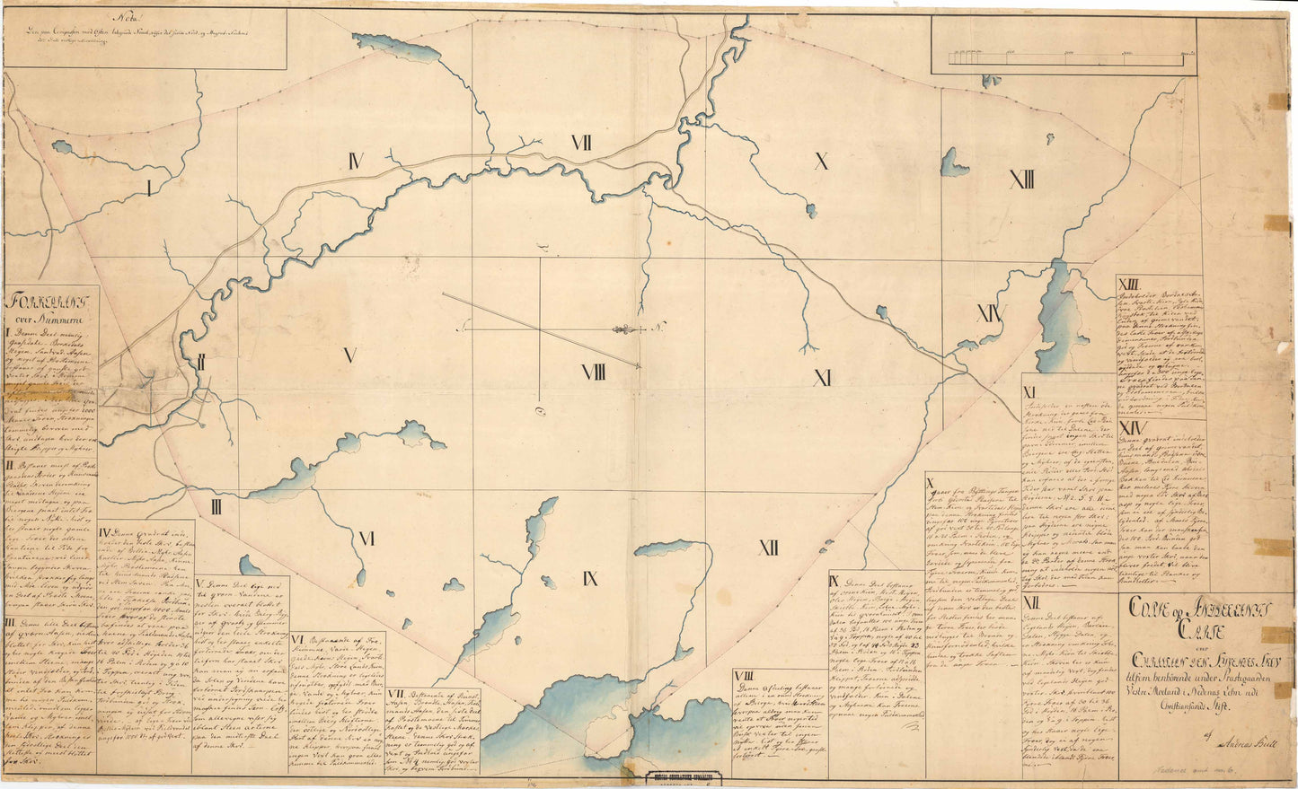 Nedenes amt nr 6: Copie og Inddelingscarte over Christian den Syvendes Skov: Aust-Agder