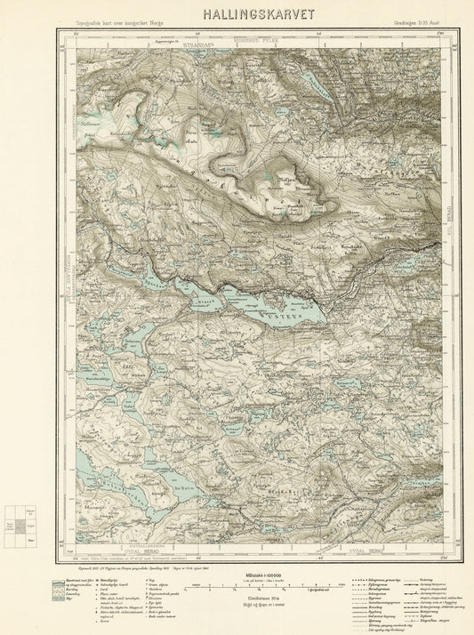 D33 aust Hallingskarvet: Buskerud