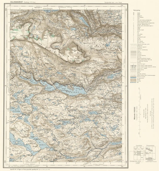 D33 aust Hallingskarvet: Buskerud