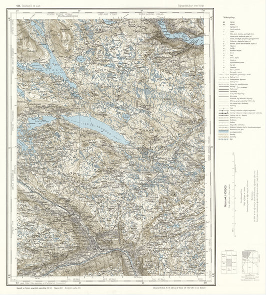 E32 aust Gol: Buskerud | Oppland