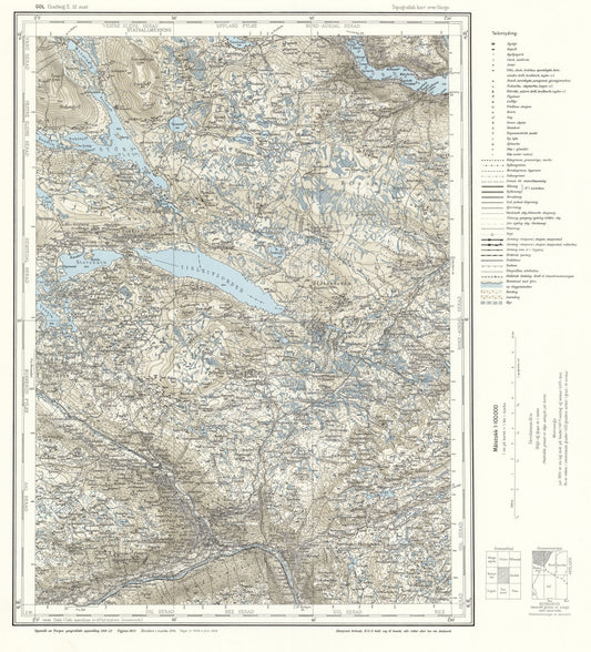 E32 aust Gol: Buskerud | Oppland